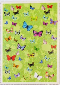 Postkarte Rand gezackt A6 Schmetterlinge auf hellgrün